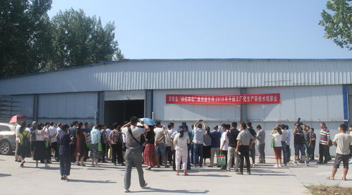 河南省“四優(yōu)四化”科技支撐行動(dòng)計(jì)劃食用菌專項(xiàng)平菇、雙孢蘑菇工廠化生產(chǎn)新技術(shù)觀摩交流會(huì)暨技術(shù)轉(zhuǎn)讓會(huì)成功召開(kāi)